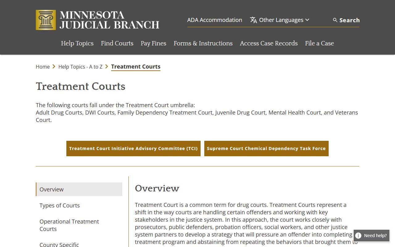 Big Stone County inmate records treatment court source